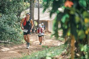 BIB: 
                            <button type="button" onclick="openModal(25276450)" class="btn btn-primary btn-sm float-right btn-popup" data-toggle="modal" data-target=".modal-high-quality">
                        <i class="fas fa-shopping-cart"></i> Add to Cart
                    </button>
                                            <button type="button" onclick="isThisMe(25276450, true)" class="btn btn-success btn-sm float-right btn-popup btn-isme hidden" data-toggle="tooltip" data-placement="bottom" title="นี่คือรูปของคุณใช่ไหม คลิกที่นี่เพื่อเอาเข้าอัลบั้ม">
                        <i class="fas fa-plus"></i> Add to album
                    </button>
                    <button type="button" onclick="isThisMe(25276450, false)" class="btn btn-warning btn-sm float-right btn-popup btn-isnotme hidden">
                        <i class="fas fa-ban"></i> Remove from album
                    </button>